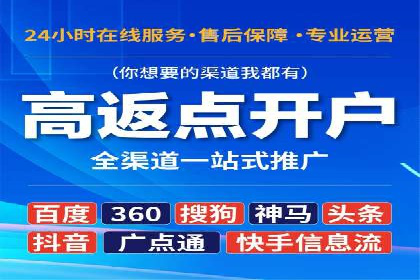 专业sem托管服务案例，揭秘广告投放优化策略